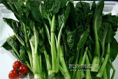 工廠膳食配送公司 南城公司 鮮津悅專業(yè)服務圖片