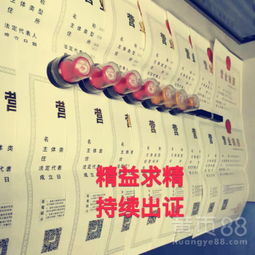 深圳餐飲服務 融合、創(chuàng)新與城市脈搏