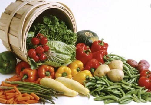 上海寶山至天津專業冷鏈配送服務指南，助力餐飲企業高效運營